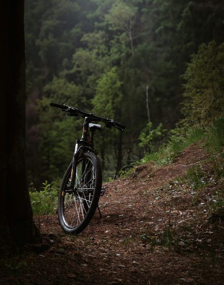 Vélo dans les bois